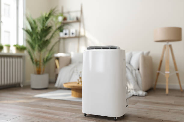 Best Affordable HVAC services  in Roanoke, AL